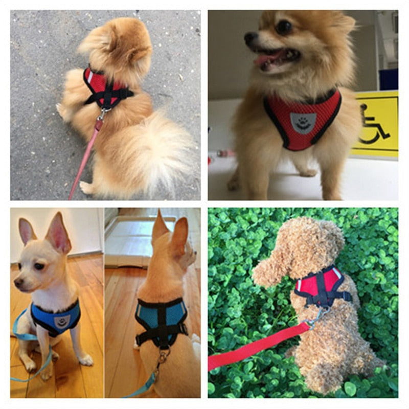 Dog Harness Walking Lead Leash