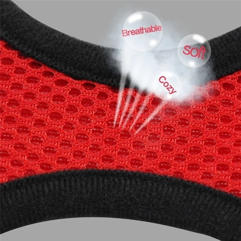 Dog Harness Walking Lead Leash