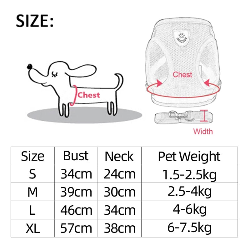 Dog Harness Walking Lead Leash