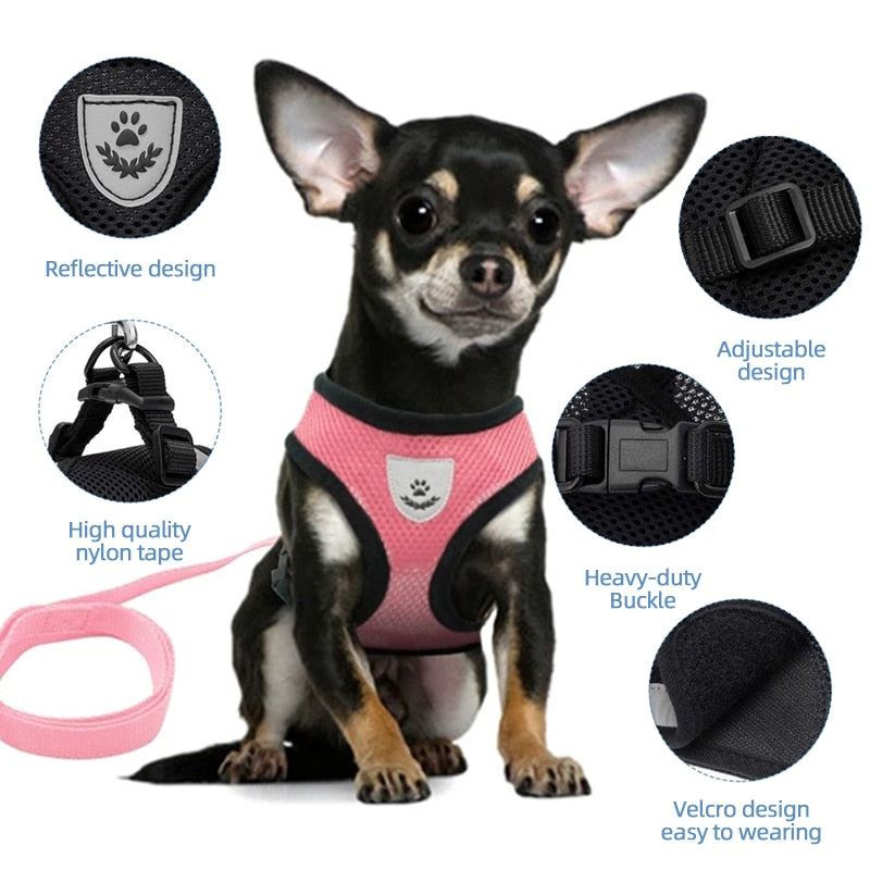 Dog Harness Walking Lead Leash