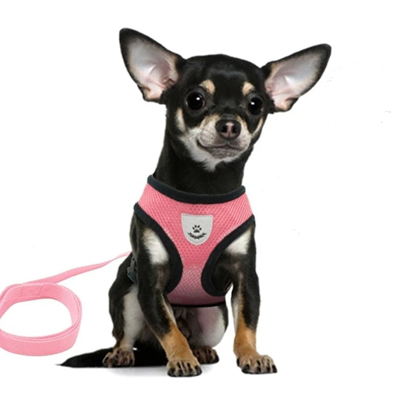 Dog Harness Walking Lead Leash