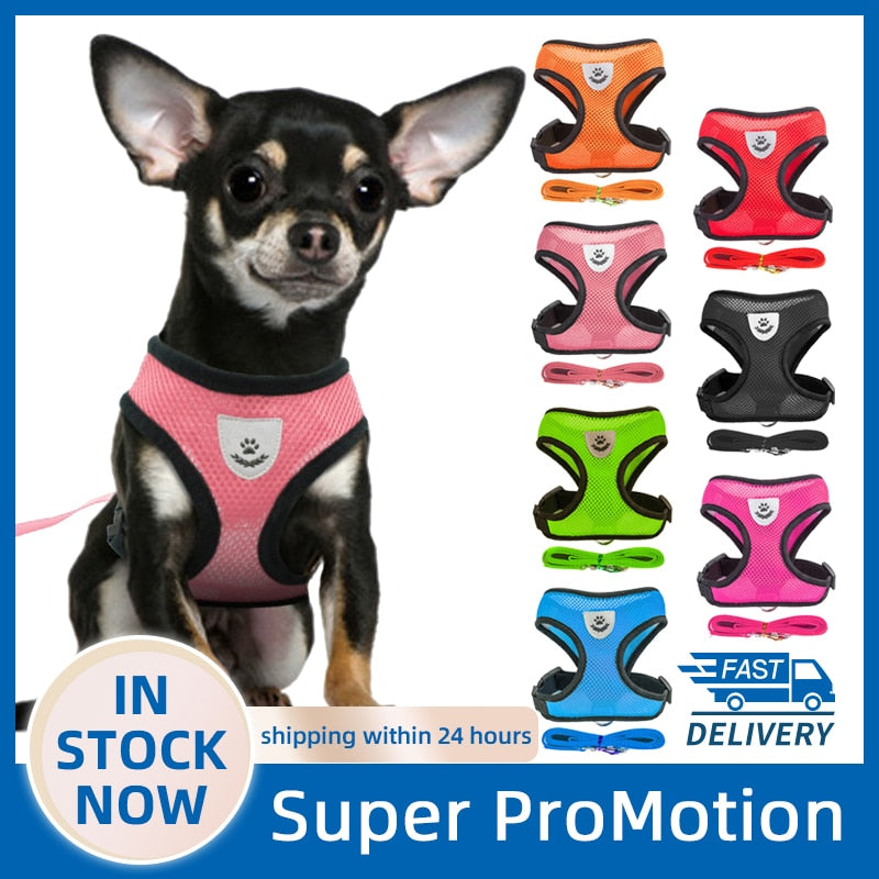 Dog Harness Walking Lead Leash