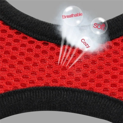 Dog Harness Walking Lead Leash