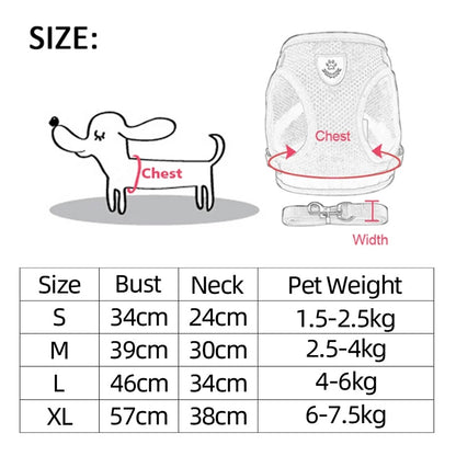 Dog Harness Walking Lead Leash