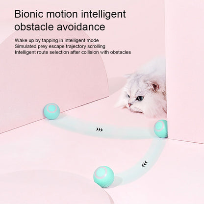 Interactive Cat Toys Ball